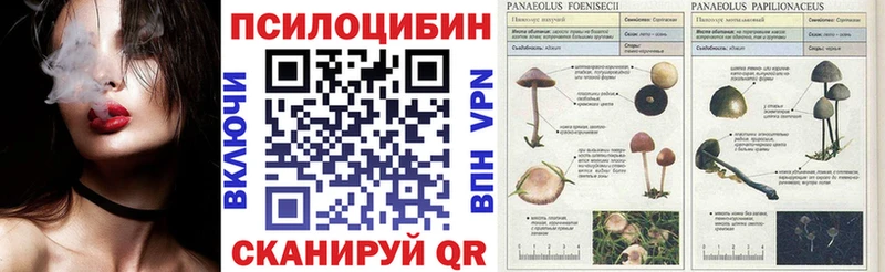 Псилоцибиновые грибы ЛСД Ессентуки