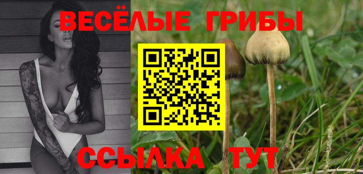 Ессентуки  Галлюциногенные грибы ЛСД  Вход с VPN  Псилоцибиновые грибы Cubensis 